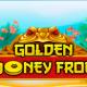 Golden Money Frog